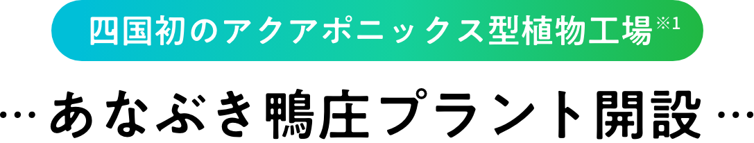 四国初のアクアポニックス型植物工場 あなぶき鴨庄プラント開設