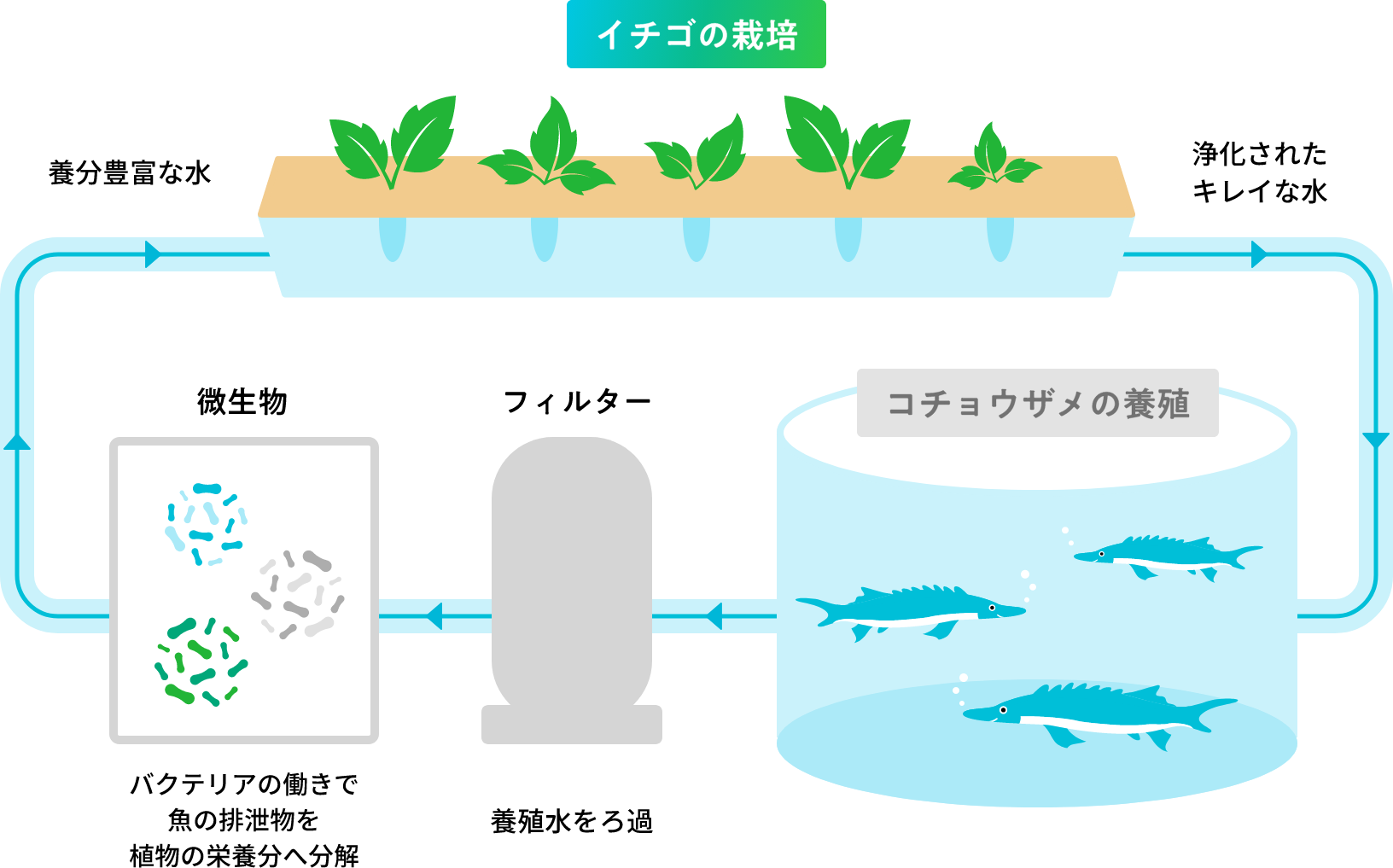環境閉鎖型栽培システムのイメージ図