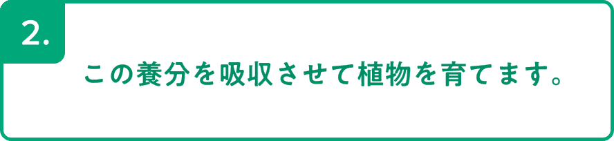 2.この養分を吸収させて植物を育てます。