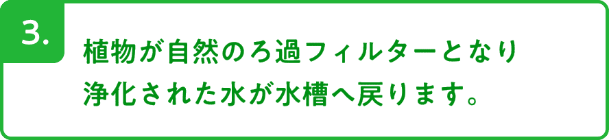 3.植物が自然のろ過フィルターとなり浄化された水が水槽へ戻ります。