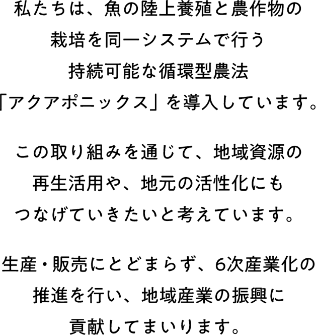 私たちは、魚の陸上養殖と農作物の栽培を同一システムで行う持続可能な循環型農法「アクアポニックス」を導入しています。この取り組みを通じて、地域資源の再生活用や、地元の活性化にもつなげていきたいと考えています。生産・販売にとどまらず、6次産業化の推進を行い、地域産業の振興に貢献してまいります。